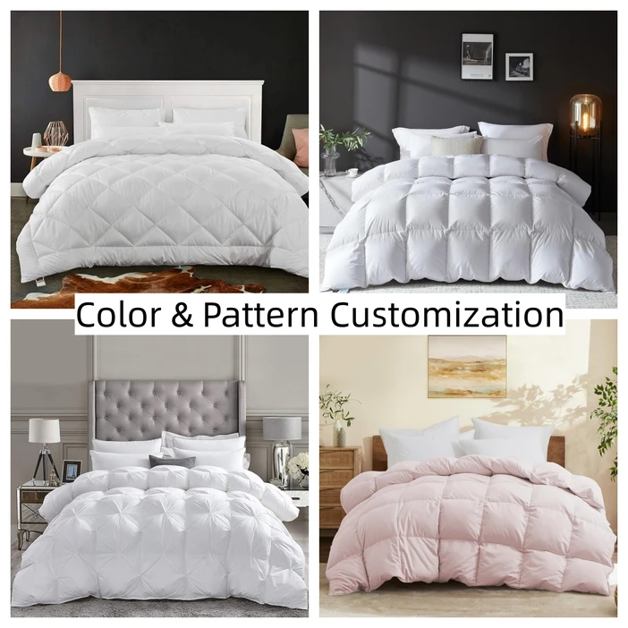 Color & Pattern Customization